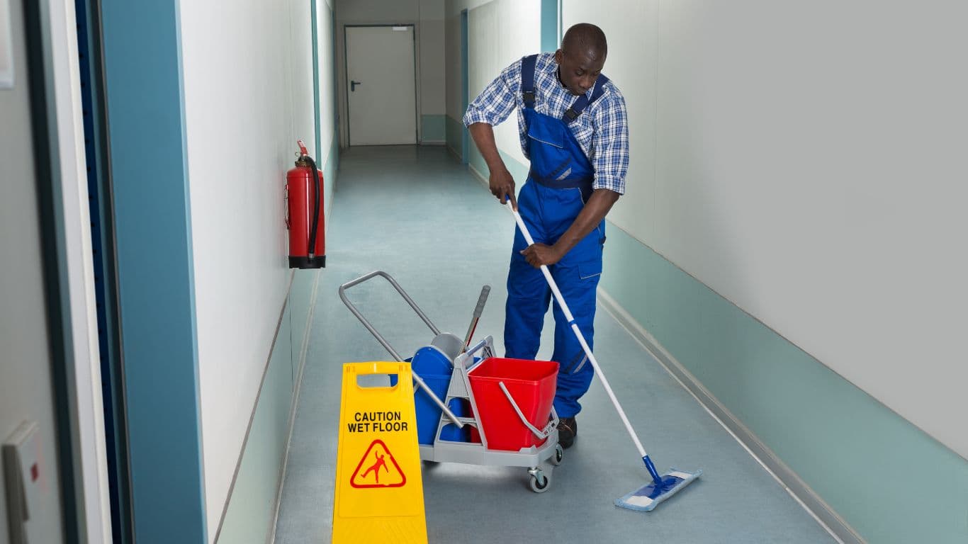 Cleaner